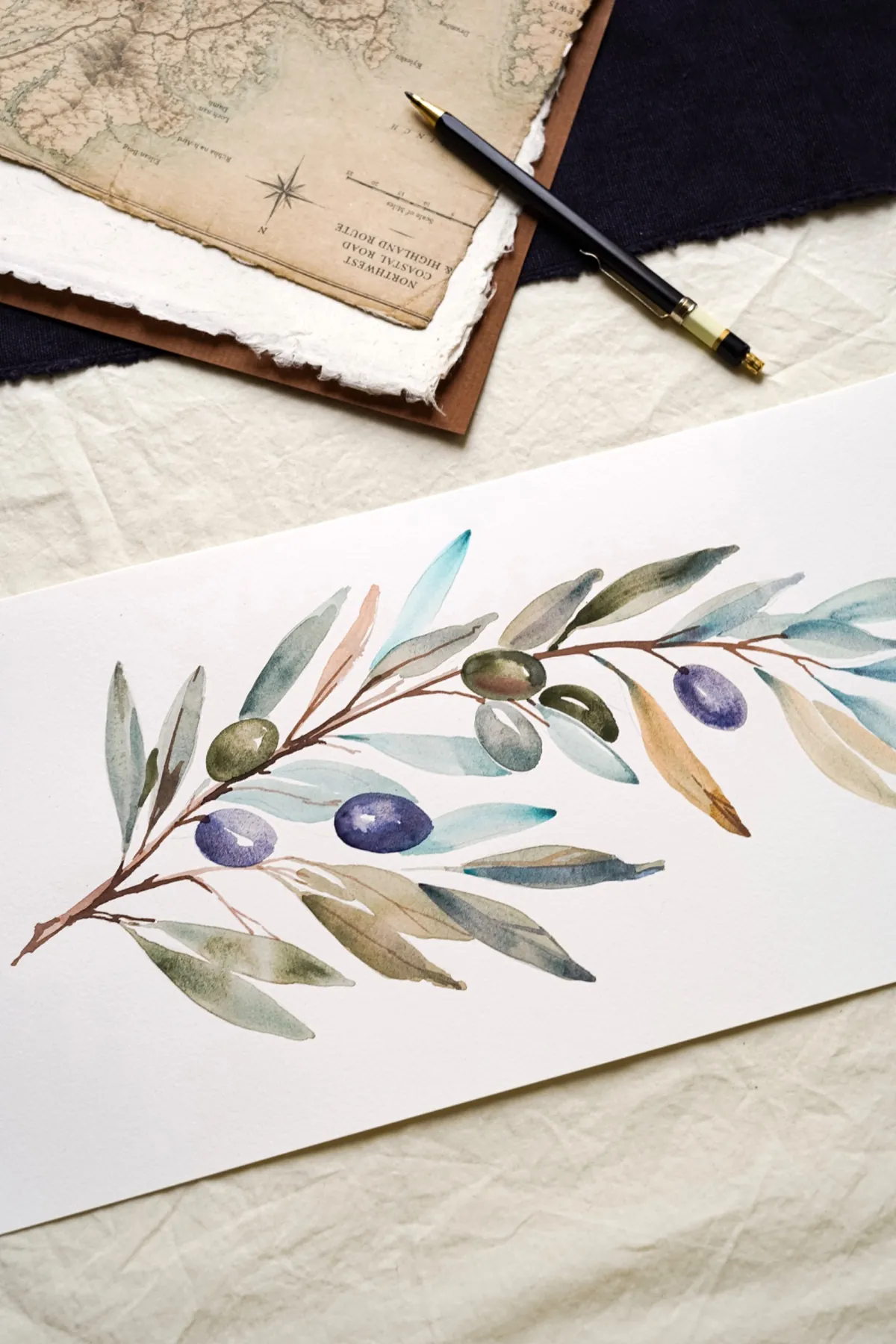 Aquarell eines Olivenzweigs im Rahmen der NUAMÃO Studio Kollaboration mit Viviene Astakhova